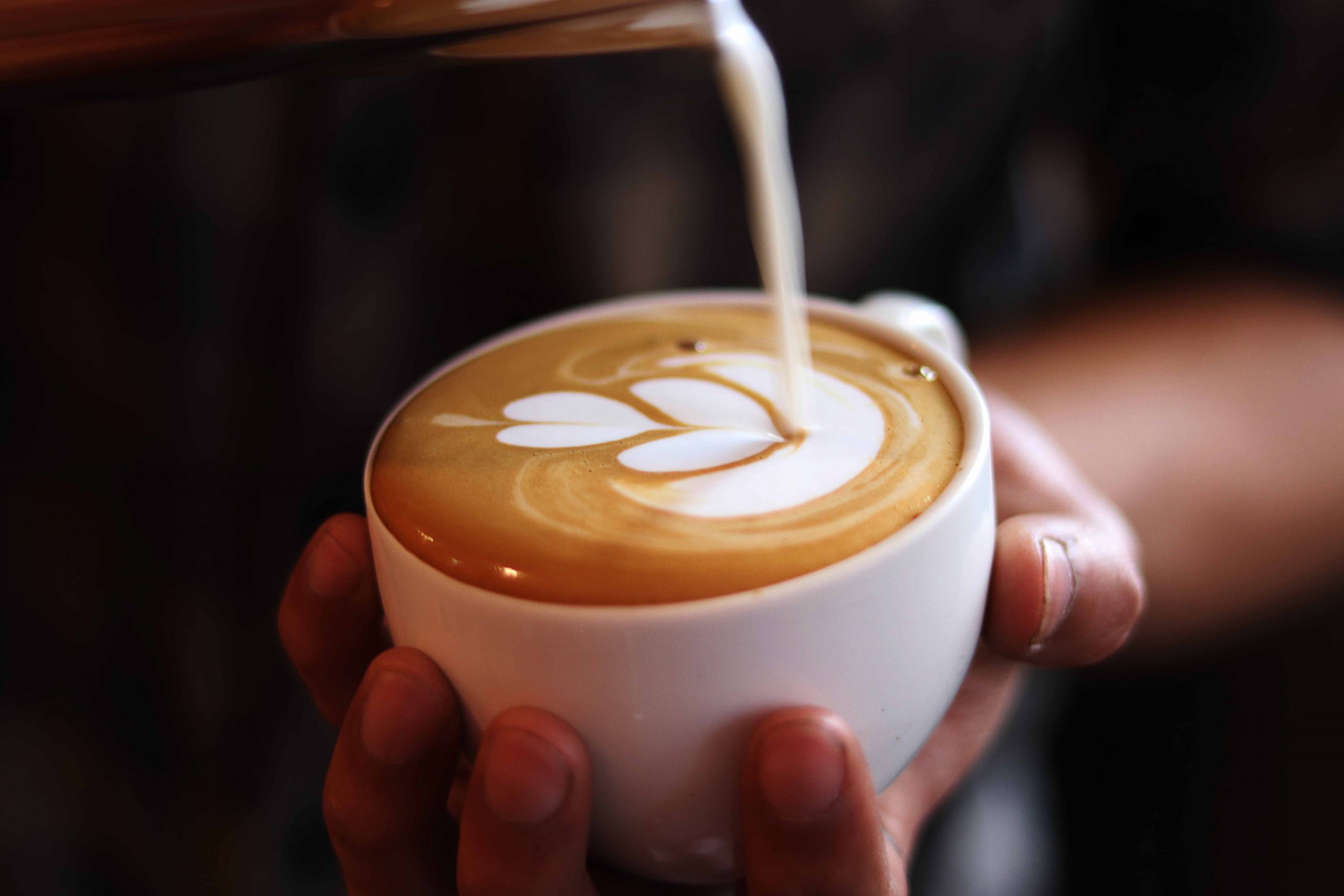 Latte Art Class The Barista's Coffee School