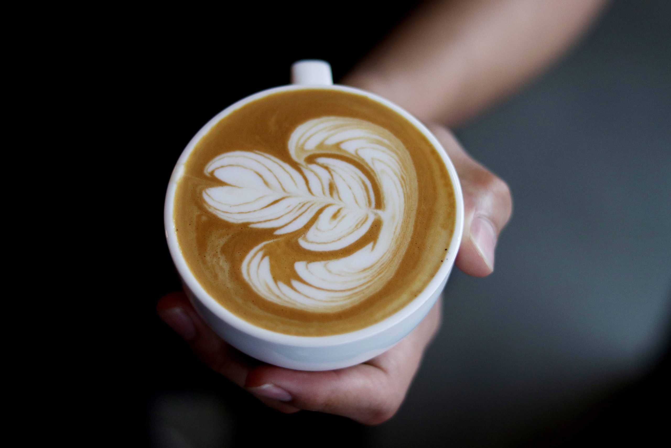 Latte Art Class The Barista's Coffee School